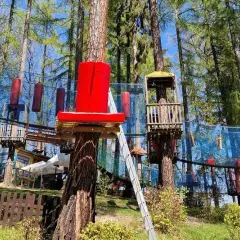 Park linowy Wałbrzych - trasy, ceny i atrakcje dla całej rodziny