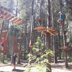 Park linowy Piła - atrakcje, trasy i wymagania dla odwiedzających