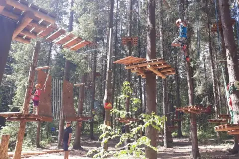 Park linowy Piła - atrakcje, trasy i wymagania dla odwiedzających