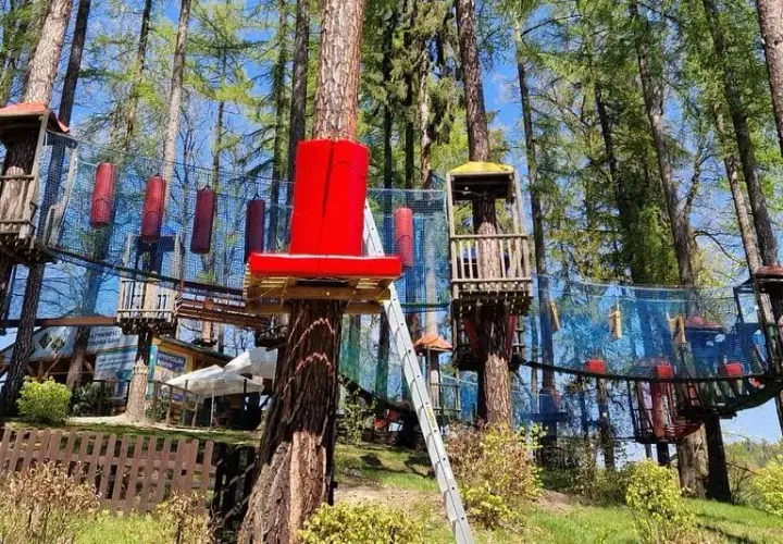 Park linowy Wałbrzych - trasy, ceny i atrakcje dla całej rodziny