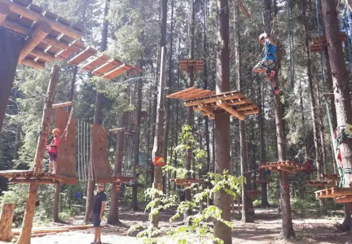 Park linowy Piła - atrakcje, trasy i wymagania dla odwiedzających
