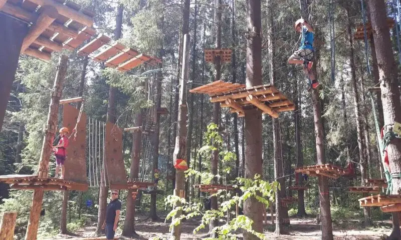 Park linowy Piła - atrakcje, trasy i wymagania dla odwiedzających