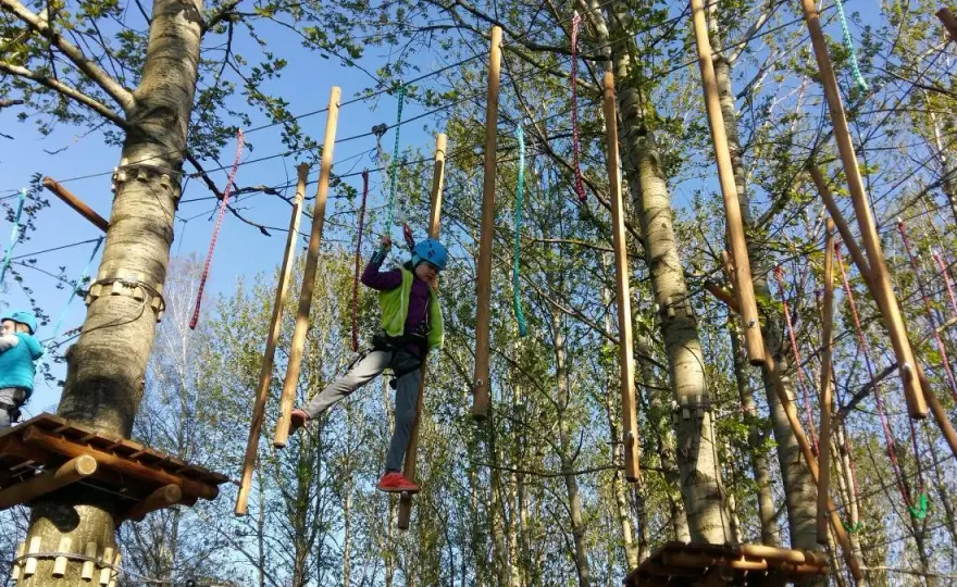 Park linowy Częstochowa - nowe atrakcje i lokalizacje, które musisz znać