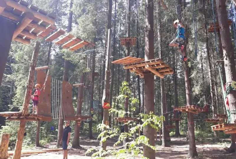 Park linowy Piła - atrakcje, trasy i wymagania dla odwiedzających