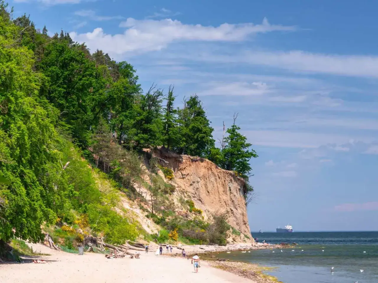 Piękna plaża z klifem i lasem, idealne miejsce, gdzie jechać z dzieckiem na wakacje.